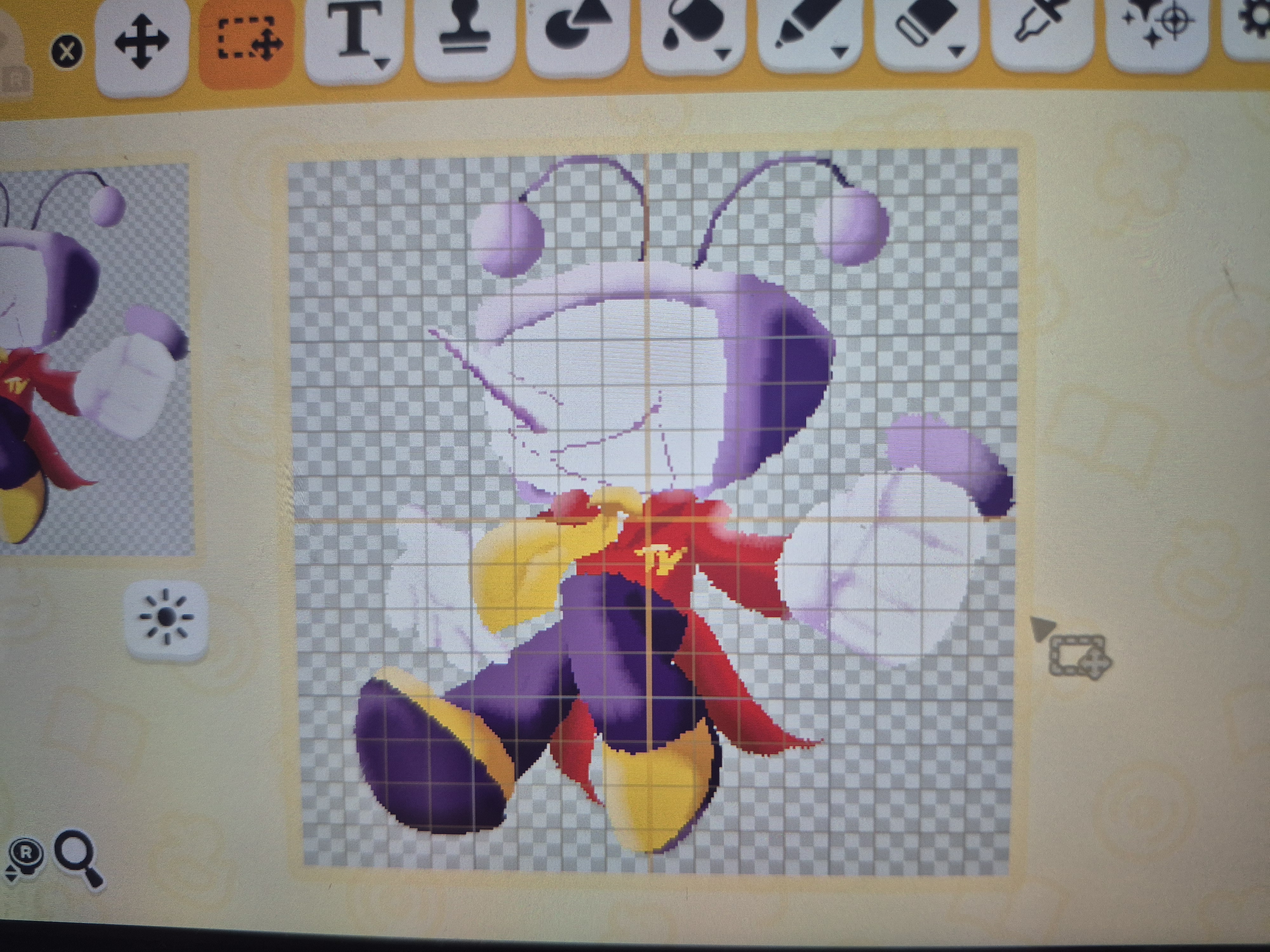 preview